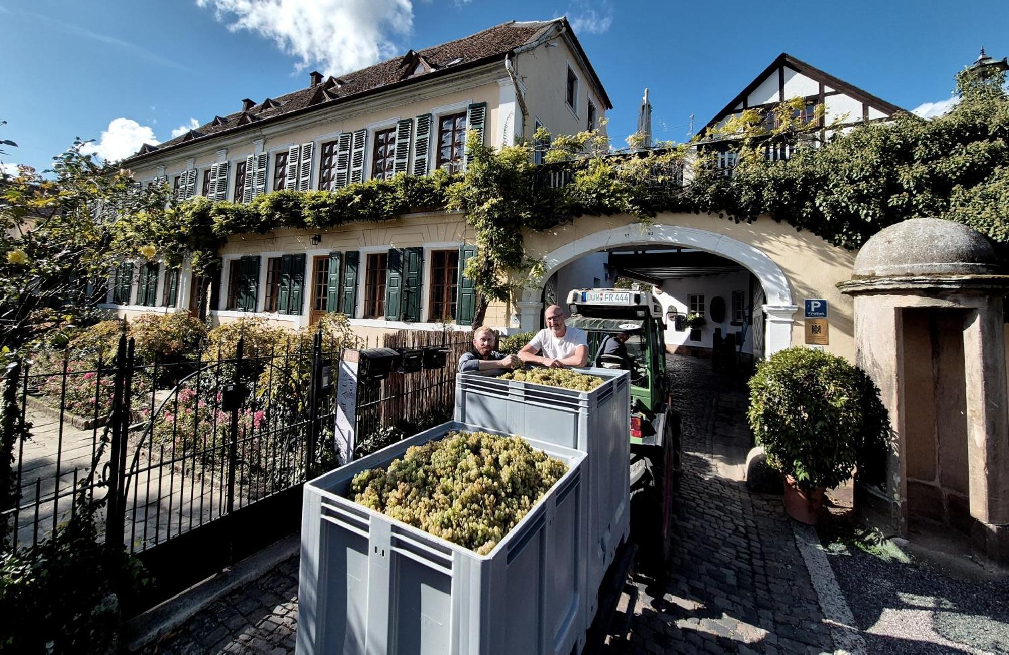 Unterkunft Im Weingut Fitz-Ritter Bad Duerkheim Exterior photo